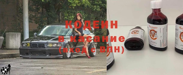 прущие грибы Козельск
