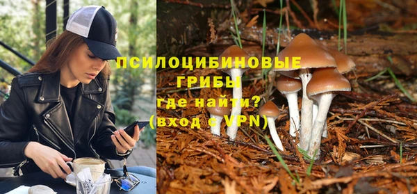 альфа пвп Корсаков