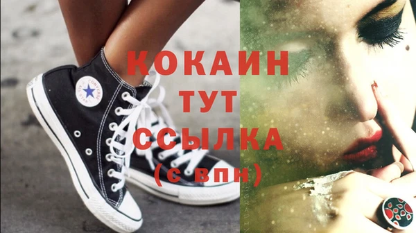 прущие грибы Козельск