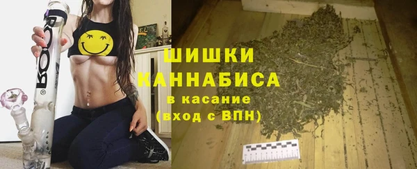 винт Коряжма