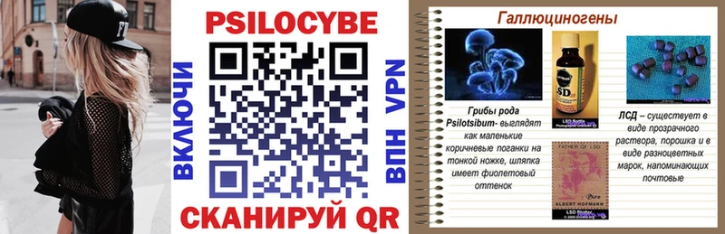 Псилоцибиновые грибы мицелий  Купить где  Пенза 