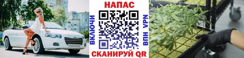 Купить где  Пенза  Марихуана сатива 
